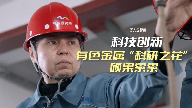 北京数字化解决方案：定制化报价背后的考量因素
